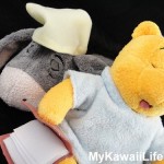 Baby Pooh & Eeyore Soft Toy